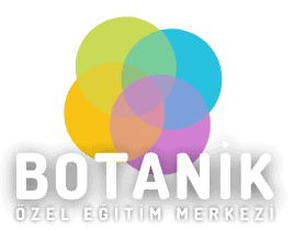 Botanik Özel Özel Eğitim & Rehabilitasyon Merkezi renkli lotus çiçeği logolu kurumsal görsel.